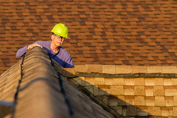 Professional Roofing Contractor in Red Chute, LA